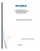 EMPAQUETADORA DE CARNES WESTLAND