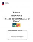 Experimento “Efectos del alcohol sobre el hígado”