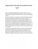 Organización mundial sanidad animal