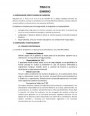 APUNTES DERECHO CONSTITUCIONAL. EL GOBIERNO