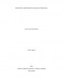 PRESENTACIÓN «COMPORTAMIENTO DEL MERCADO INTERNACIONAL»