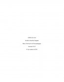 Bases Teóricas de la Psicopedagogía