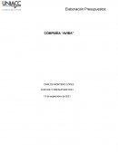 Elaboracion de presupuestos COMPAÑÍA “AVIBA”