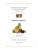 Industria Vitivinicola