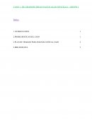 CASO 1: DE GRANDES IDEAS NACEN ALGO SENCILLO