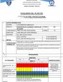 ESQUEMA DEL PLAN DE PRÁCTICA PRE PROFESIONAL