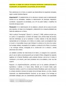 ANALISIS DE PLANEACIÓN Y ORGANIZACIÓN DE ANTZ