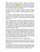 Ensayo Ergonomía ocupacional