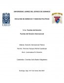 FUENTES DEL DERECHO INTERNACIONAL PUBLICO