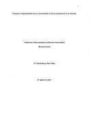 Proyecto comportamiento de los consumidores y de los productores en el mercado
