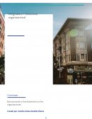 Estructuración y funcionamiento en las organizaciones