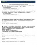 PRACTICA ELASTICIDAD DE LA DEMANDA Y OFERTA