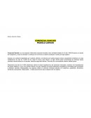 COMERCIAL SANCHIS MODELO CANVAS