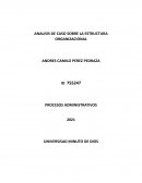ANALISIS DE CASO SOBRE LA ESTRUCTURA ORGANIZACIONAL