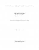 Los valores antropologicos