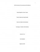 Informe acerca de los procesos administrativos