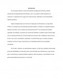 Gerencia de mercados, La elaboración de la panela