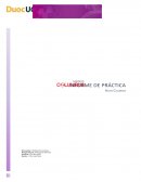 Antecedentes generales de la práctica laboral