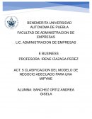 CLASIFICACION DEL MODELO DE NEGOCIO ADECUADO PARA UNA MIPYME