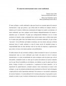 El comercio internacional como vector ambiental