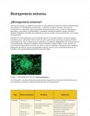 Bioingeniería extrema