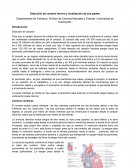 Disección de corazón bovino y localización de sus partes