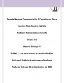 Actividad: Análisis de patrones en la sabana