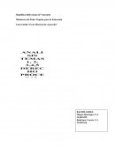 Organización del Circuito Judicial del Trabajo