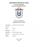 Práctica de Laboratorio Nº3 Capacitores en serie y en paralelo