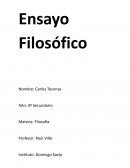 Ensayo sobre la filosofia. El amor de una madre