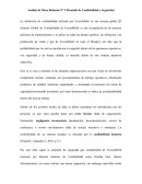 Análisis de Mesa Redonda Nº 3 Piramide de Confiabilidad y Seguridad