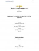 PROPUESTA DE INTERACCION, PLAN DE ACCION A NUESTRO ENTORNO