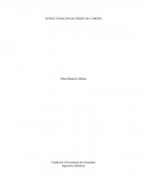 ESTRUCTURACION DE PERFIL DE CARGOS