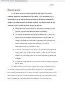 Análisis de los Nor'easters y su estrategia de precios