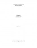 LABORATORIO DE PROGRAMACION TALLER DE CONDICIONES