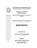 Motivación Laboral y su efecto en el servicio a clientes