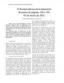 Resumen El Rompecabezas de la Ingeniería