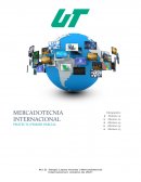 Análisis de Mercado y la Situación Internacional