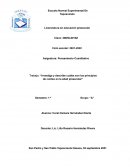 Investiga y describe cuáles son los principios de conteo en la edad preescolar