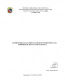 LA PERSEVERANCIA COMO FACTOR QUE INTERVIENE EN EL APRENDIZAJE DE UNA NUEVA LENGUA