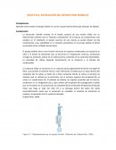 PRÁCTICA. EXTRACCIÓN DE LÍPIDOS POR SOXHLET