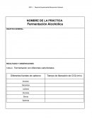 Reporte 10 Fermentación Alcohólica