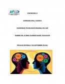 Mi área laboral contaduría