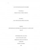 Ensayo de la violencia en Colombia
