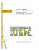 RESUMEN DE HIGIENE Y SEGURIDAD LABORAL