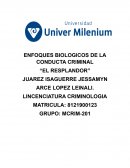 ENFOQUES BIOLOGICOS DE LA CONDUCTA CRIMINAL “EL RESPLANDOR”