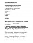 CAMBIO DE PRODUCCIÓN DE LOS HABITANTES DEL MINICIPIO DE TIAHIANACO