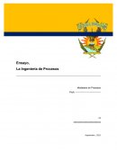 Ensayo, La Ingeniería de Procesos