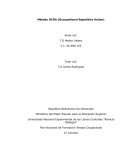 Plan Nacional de Formación Terapia Ocupacional