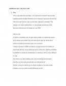 EMPRESAS QUE UTILIZAN CRM